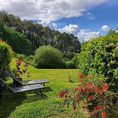 Appartement Calme Avec Jardin Bidart Biarritz Exterior photo